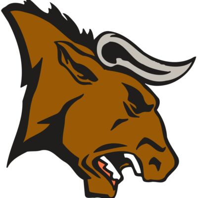 AR BULL 38 RC Thumbnail