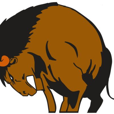 AR BUFF 21 RC Thumbnail