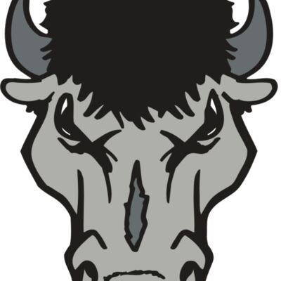 AR BUFFALO 15 RC Thumbnail